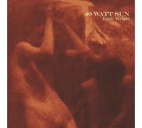 40 Watt Sun Little Weight (Vinyl) 12" Album