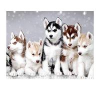 (40 x 50 cm) DIY Square Diamond Painting Cuadrado Diamante Pintura por Números 5D Kits de Pintura de Diamantes Juego Completo Juego Completo Husky Familia Punto de Cruz Fabricación de Mosaicos Cuadros