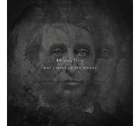 400 Lonely Things - Why I Went To The Woods