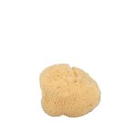 4028 NIY NIYOK - Esponja marina facial