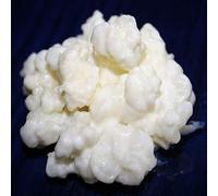 40g de Hongo/Nódulos Frescos de Kéfir de Leche + Instrucciones + Recetas + Ayuda y asesoramiento en español - KEFIRALIA®