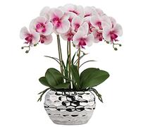 44 cm Orquídea Artificial Phalaenopsis Flores Artificiales como verdadera orquídea Decorativa Bonsai Arreglo en Maceta de cerámica para Mesa salón decoración