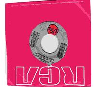 45vinyl SINCE I DON'T HAVE YOU / I AIN'T GONNA CRY NO MORE (7"/45 rpm)