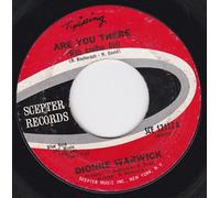 45vinylrecord Are You There(With Another Girl)/If I Ever Make You Cry (7"/45 rpm)