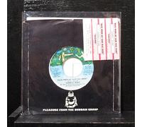 45vinylrecord Back When My Hair Was Short/We Can't Ride The Roller Coaster Anymore (7"/45 rpm)