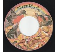 45vinylrecord We'll Never Have To Say Goodbye Again/Calling For You Again (7"/45 rpm)