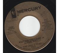 45vinylrecord What Did You Learn In School Today/Barry's Boys (7"/45 rpm)