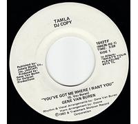 45vinylrecord You've Got Me Where I Want You (7" DJ/45 rpm)
