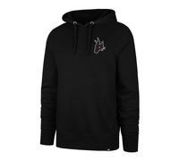 47 Brand NHL Arizona Coyotes Imprint Backer 47 BURNSIDE Hood Sudadera de hombre L