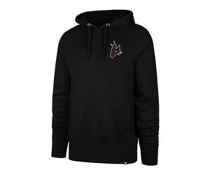 47 Brand NHL Arizona Coyotes Imprint Backer 47 BURNSIDE Hood Sudadera de hombre L