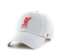 47 FC Liverpool Grey EPL Clean Up Cap - One-Size
