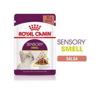 48 sobres x 85 g Royal Canin Adult Sensory Smell salsa sobre para gatos ¡Pack ahorro!