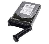 480GB SSD SATA ISE RI 6Gbps 512e 2.5in 345-BGVP