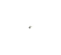 481010666297 Termostato Limitador 175°C L175C Seguridad Microondas Faston