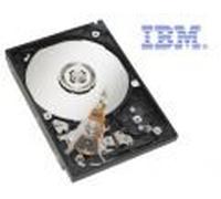 49y2007 IBM 600 GB 10 K RPM de factor 2,5 pulgadas caliente SCSI S
