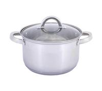 4BIG.fun Olla de acero inoxidable de 2 L, 16 cm, con tapa de cristal, para inducción