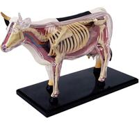 4D Cow Anatomy Model - Animal Skeleton Specimen, Detachable Biology, 29 Parts for Pet Clinic Veterinary TrainingSchool Teaching Demonstration