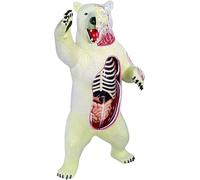 4D Puzzle Polar Bear Anatomy Model, Polar Bear Organ Skeleton Model Half-Transparent Simulation, 36 Detachable Organs and Body for Biology Animal Medical Teaching
