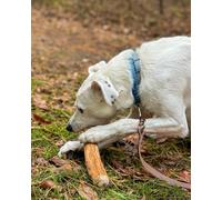 4DOGS ORIGINAL Cinnamon Wood Chew - Cinnamon Wood Chew (tamaño mediano)
