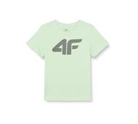 4F Camiseta Marca Modelo Tshirt M0794