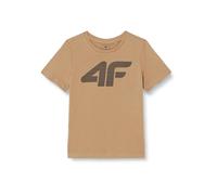 4F Camiseta Marca Modelo Tshirt M0794