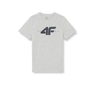 4F Camiseta Marca Modelo Tshirt M0796