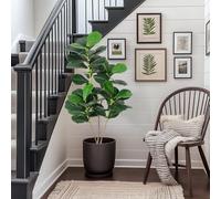 4ft Artificial Fiddle Leaf Fig Tree - Realistic Faux Ficus Lyrata Plant with Cement Base - Low Maintenance Greenery for Indoor/Outdoor Home, Office, Living Room Decor - Housewarming Gift - Size: 4ft