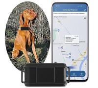 4G - Collar GPS para perro con alarma de sonido y luminosa, estadísticas podómetro y conversación bidireccional, impermeable, antipérdida, rastreador GPS para perros sin suscripción para perros de