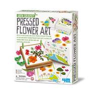 Arte Con Flores Prensadas
