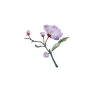 4pc Begonia Flower Iron On Patches, Retro Style Decoration, Hot Melt Adhesive For Repairing Small Defects In Clothes(2PCS A2)