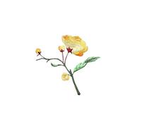 4pc Begonia Flower Iron On Patches, Retro Style Decoration, Hot Melt Adhesive For Repairing Small Defects In Clothes(2PCS A1)