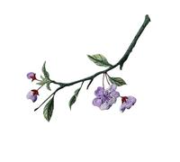 4pc Begonia Flower Iron On Patches, Retro Style Decoration, Hot Melt Adhesive For Repairing Small Defects In Clothes(2PCS C2)