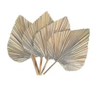 4pcs Dried Palm Leaves Dried Palm Fans Bohemian Dried Palm Spears Artificial Plants Palm Leaves Tropical Palm Leaves