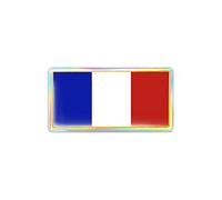 4R Quattroerre.it 499 Etiqueta Adhesiva 3D Bandera Francia HQ, 88 x 40 mm