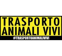 4R Quattroerre.it 810 Adhesivos el Transporte de Animales Vivos 7,5 x 18 cm