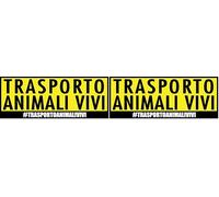 4R Quattroerre.it 810 Adhesivos el Transporte de Animales Vivos 7,5 x 18 cm (Paquete de 2)