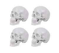 4X Modelo de Cráneo Humano, Modelo de Cráneo Anatómico de 3 Partes con Tapa de Cráneo Extraíble y Mandíbula Articulada