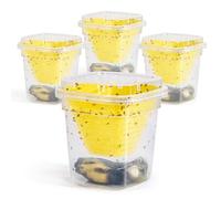 4X Trampa para moscas de la fruta, trampa para moscas de la fruta viva, trampa para moscas de la fruta reutilizable para la cocina y el interior, trampa para moscas de la fruta para el hogar