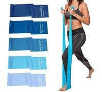 5 bandas de resistencia profesionales, sin látex, banda elástica, bandas de entrenamiento, bandas elásticas para entrenar mujeres u hombres, juego de bandas de ejercicio para terapia física, yoga,