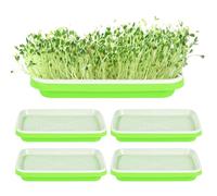 5 bandejas para brotes, juego de cultivo de brotes, berros, recipiente para germinar pasto de trigo, bandeja de germinación, para el cultivo de frijoles mungo alfalfa y hierba de trigo, 32,5 x 23,5 x