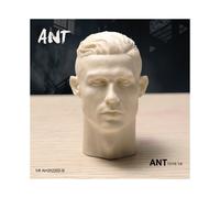 (5) Cabeza esculpida sin pintar, 1/6, Brad Pitt, Tom Cruis, Arnold, Paul Walker, Ronaldo, Bruce Willis, soldado