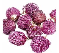 5 collares con colgante de flores secas, colgante de flor, joyería natural, Flor real, No es una piedra preciosa