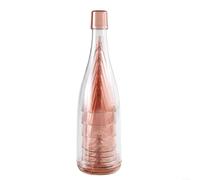 5 copas de champán de plástico de viaje con botella de almacenamiento para camping, picnics, bodas, fiestas y entretenimiento al aire libre (rosa)