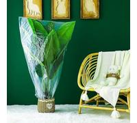 5 cubiertas de plástico para plantas de invierno con película transparente, diseñadas para defensa contra heladas y protección contra la intemperie en jardines (80 x 140 cm)