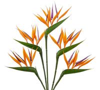 5 flores artificiales de pájaro del paraíso de 66 cm, plantas verdes falsas, decoración de tallo de flores artificiales, arreglos florales, hogar, jardín, oficina, terraza, decoración de boda, naranja