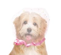 5 fundas de malla antialimentación para mascotas, casco de malla transpirable antimordeduras, cubierta elástica antiaperitivos para perros pequeños, gatos, evita mordeduras y comen objetos extraños