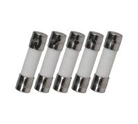 5 fusibles cerámicos F3A 250V 5 x 20 mm