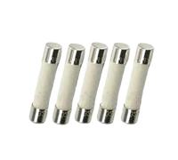 5 fusibles cerámicos T0.3A 250V 6X30mm