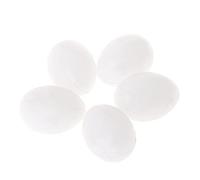 5 huevos de loros sólidos blancos sólidos para eclosionar para mejillas verdes para loros cacatúas, juguete para loros pequeños, para pájaros grandes, juguete de loros, juguete de piezas de Navidad