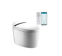 5 Inodoro japonés inteligente sin cisterna con función de lavado y secado Aldara iPlus de Nashi